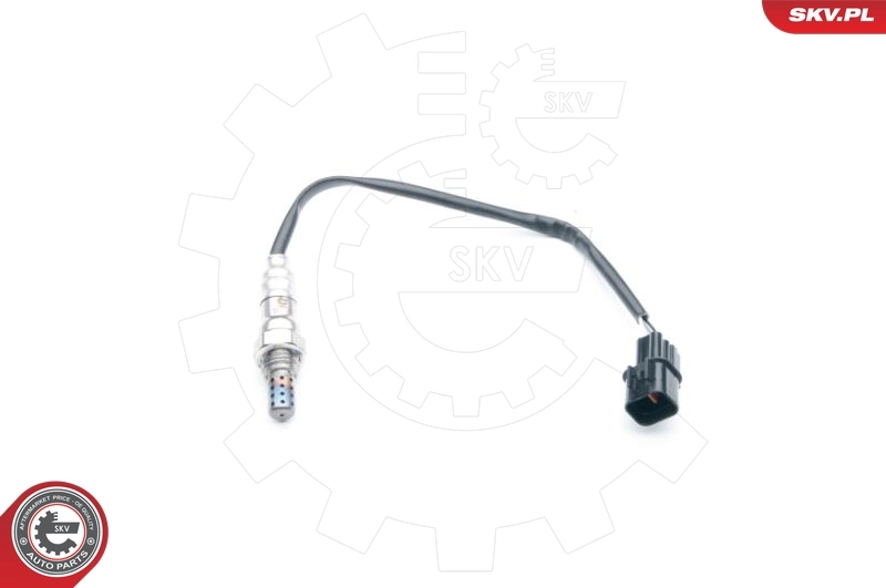Oxygen Sensor